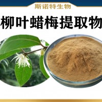 柳叶蜡梅提取物 地水溶性柳叶蜡梅粉 新资源食品