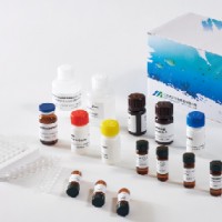 氧氟沙星ELISA检测试剂盒，兽药残留检测，抗生素检测