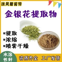 金银花提取物 金银花绿原酸25%