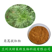 角蒿提取物 角蒿酯碱1%-2%  速溶  喷雾干燥 浸膏