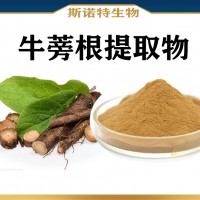 牛蒡根提取物 水溶性牛蒡根粉 新资源食品 喷雾干燥