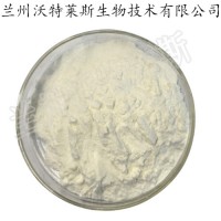 燕窝提取物 燕窝粉 燕窝速溶粉 燕窝酸 唾液酸 90%