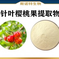 针叶樱桃提取物 喷雾干燥水溶性针叶樱桃果粉 VC粉