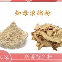 斯诺特生产知母浓缩粉 知母提取物 水溶性好 价格优惠