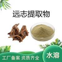 远志提取物10:1 源头生产工厂家 水溶远志粉