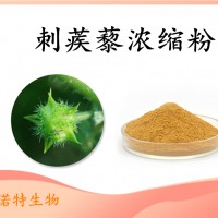 刺蒺藜浓缩粉 刺蒺藜提取物 全水溶 自有工厂 品质保障