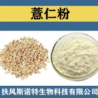 薏仁粉 喷雾干燥 食品级原料薏仁速溶粉