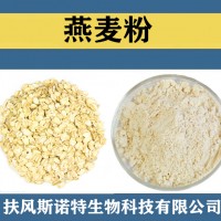 燕麦粉 喷雾干燥 食品级原料燕麦速溶粉