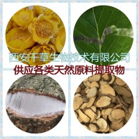 沿阶草提取物沿阶草浓缩粉沿阶草浸膏粉