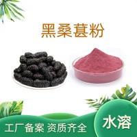 黑桑葚粉 黑桑葚果粉 黑桑葚浓缩粉