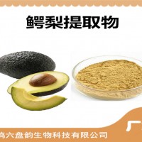 鳄梨提取物 鳄梨粉 食品原料粉 牛油果提取物