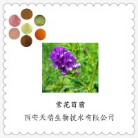 紫苜蓿纤维粉紫花苜蓿膳食纤维粉销售