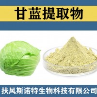 甘蓝提取物 甘蓝粉 食品级原料甘蓝速溶粉