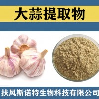 大蒜提取物 大蒜粉 食品级原料大蒜速溶粉