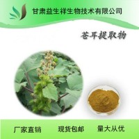 苍耳子提取物10:1 水溶 苍耳子粉 苍耳子皂甙