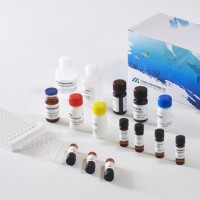 麻痹性贝类毒素ELISA试剂盒，海洋毒素检测