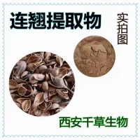 落翘提取物落翘浓缩粉落翘浸膏粉干膏