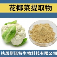 花椰菜提取物 水溶性花椰菜粉 食品级原料花椰菜速溶粉