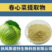 卷心菜提取物 水溶性卷心菜粉 食品级原料卷心菜速溶粉