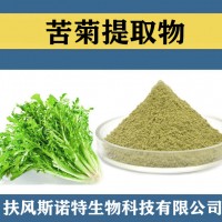 苦菊提取物 水溶性苦菊粉 食品级原料苦菊速溶粉