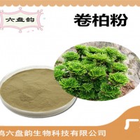 卷柏速溶粉 水溶性原料 卷柏粉