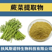 蕨菜提取物 水溶性蕨菜粉 食品级原料蕨菜速溶粉