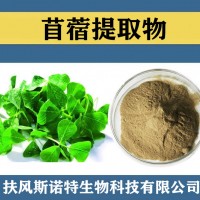 苜蓿提取物 水溶性苜蓿粉 食品级原料苜蓿速溶粉