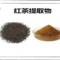 红茶提取物 多种规格 可定制 红茶粉