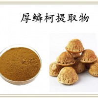 厚鳞柯提取物 斯诺特生产 资质齐全 随货带检测报告 可试样