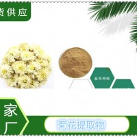 菊花提取物的厂家供应菊花粉