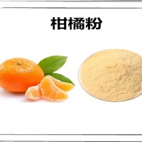 柑橘果汁粉 柑橘粉 固体饮料压片糖果食品原料