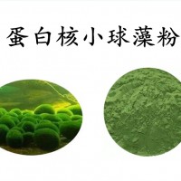 小球藻粉 提取物粉 SC认证厂家 随货带检测报告