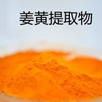 姜黄提取物 水溶姜黄粉 食品级姜黄素原料