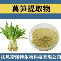 莴笋提取物 水溶性莴笋粉 果蔬粉 莴笋速溶粉