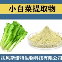 小白菜提取物 水溶性小白菜粉 小白菜速溶粉