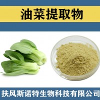 油菜提取物 水溶性油菜粉 油菜速溶粉