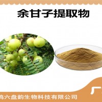 余甘子提取物 余甘子粉 可定制生产 药食同源