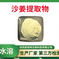 泰国沙姜提取物 沙姜粉 全水溶 食品级 工厂发货