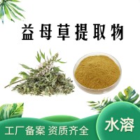 益母草提取物 益母草粉 速溶食品原料