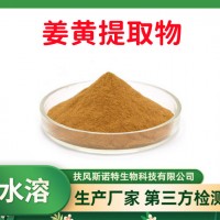 姜黄提取物 食品级姜黄粉 全水溶 斯诺特工厂