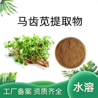 马齿苋提取物 浓缩马齿苋粉 工艺成熟 厂家资质齐全