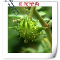 刺蒺藜提取物销售