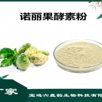 诺丽果提取物 诺丽果酵素粉 植物提取物