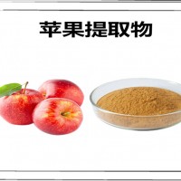 苹果提取物 苹果粉 植物萃取粉 果蔬粉