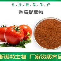 番茄提取物 10:1全水溶番茄浓缩粉