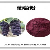 葡萄浓缩粉 葡萄粉 比例提取可定制 植物萃取原料