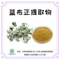 蓝布正提取物 浓缩喷雾干燥 精细粉末