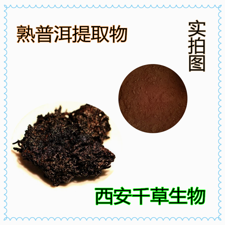 熟普洱提取物