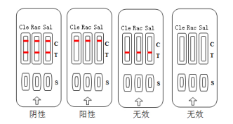 糖皮质素三联卡2