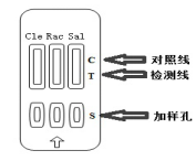 糖皮质素三联卡1